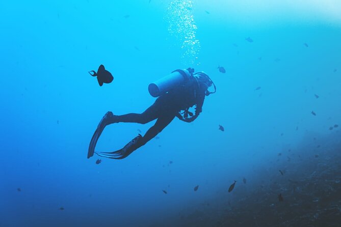 Private Diving Experience in Nusa Dua with Hotel Pick Up - What Happens Before You Enter the Water
