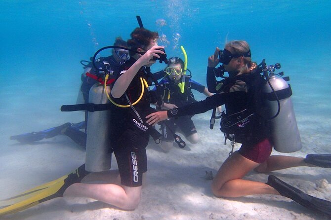 Private First-Time Dive on Aruba’s Reef and Wreck Site - Key points at a glance