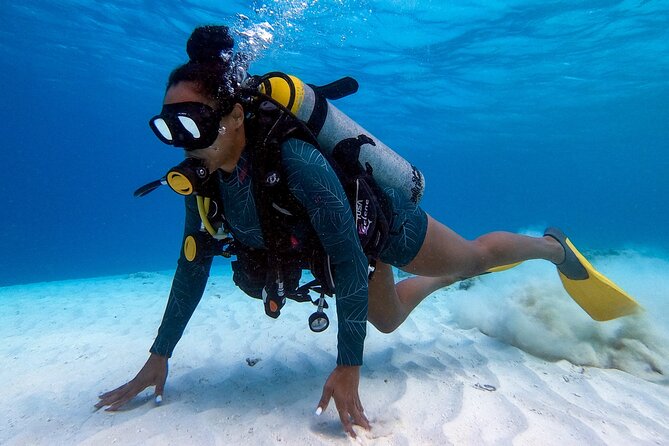 Private First-Time Dive on Aruba’s Reef and Wreck Site - What the instructors do well