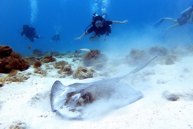 Private First-Time Dive on Aruba’s Reef and Wreck Site - Who should book this experience?