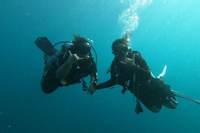 Private Half-Day Scuba Diving with expert (1Dive) - Key points to know before booking