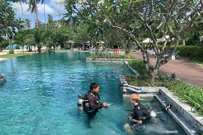 Private Half-Day Scuba Diving with expert (1Dive) - What this Ko Phi Phi scuba session actually offers