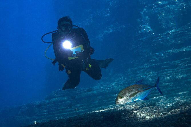 Private Niihau Scuba Charter with 2 or 3 Tank Dive Option - Lunch and Lehua Crater between sessions