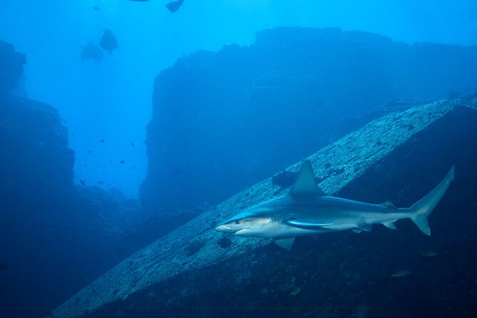 Private Niihau Scuba Charter with 2 or 3 Tank Dive Option - Weather is the decision-maker