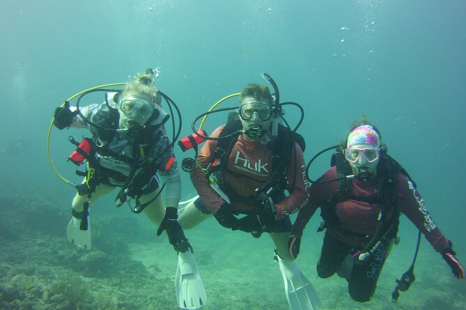 Private SCUBA Dive the reefs of Key Largo for up to 8 certified divers - John Pennekamp reefs and the freedom to adjust the route