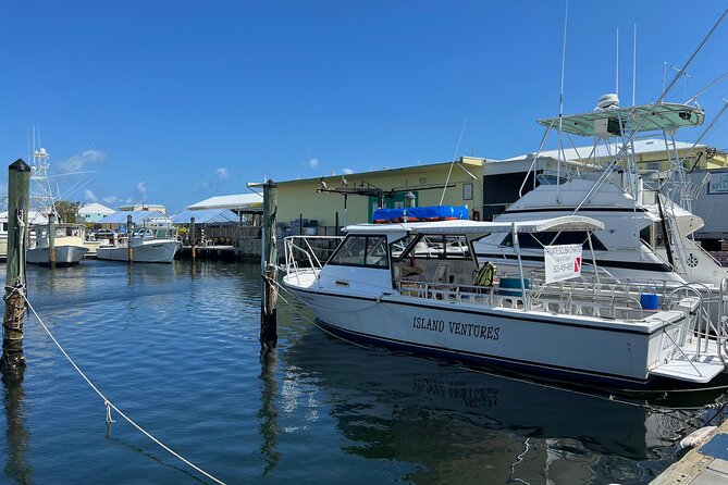 Private SCUBA Dive the reefs of Key Largo for up to 8 certified divers - Weather and sea conditions are part of the deal