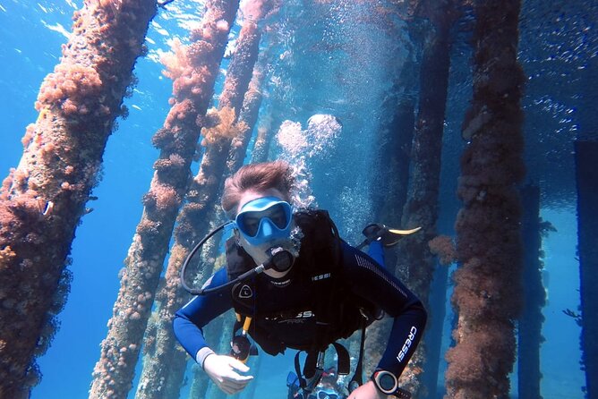 Private Scuba Diving Adventure in the Red Sea of Aqaba - Key points about this Aqaba shore experience