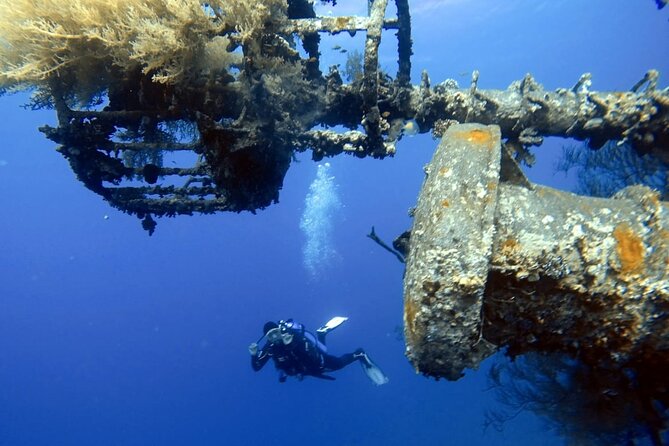 Private Scuba Diving Adventure in the Red Sea of Aqaba - Why Aqaba is a smart place for a first scuba session