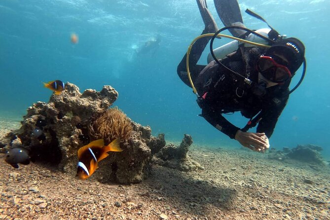 Private Scuba Diving Adventure in the Red Sea of Aqaba - A private format that suits both beginners and experienced participants