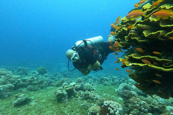 Private Scuba Diving Adventure in the Red Sea of Aqaba - How to prepare for the two-hour outing