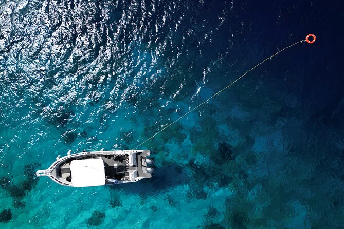 Private Scuba Diving Charter in Bonaire Marine Park - Starting from your hotel, cruise pier, or airport