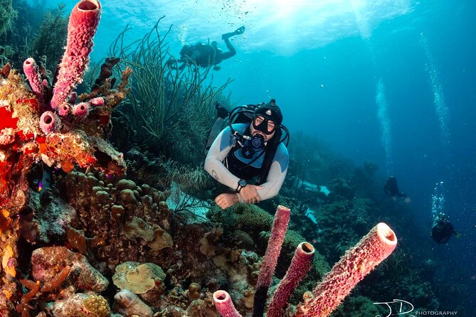 Private Scuba Diving Charter in Bonaire Marine Park - The break between sessions