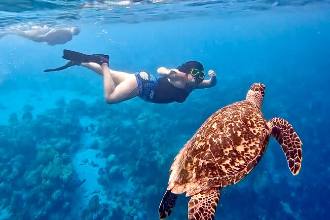Private Scuba Diving Charter in Bonaire Marine Park - Second session and the GoPro bonus