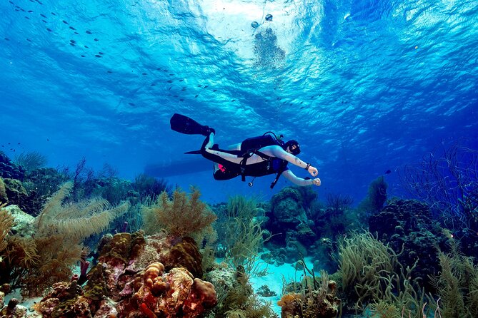 Private Scuba Diving Charter in Bonaire Marine Park - What makes the crew service memorable