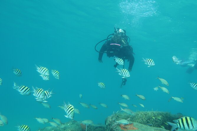 Private Scuba Diving Expert-Led Excursion Training with Tour - Photos, maps, and certification value