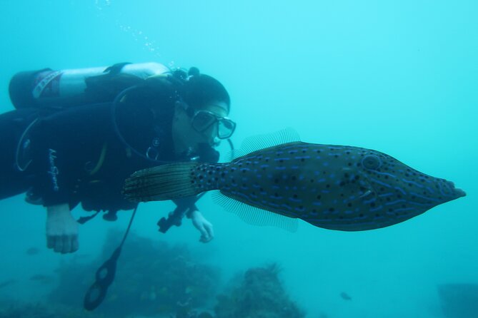 Private Scuba Diving Expert-Led Excursion Training with Tour - Safety, health, and comfort requirements