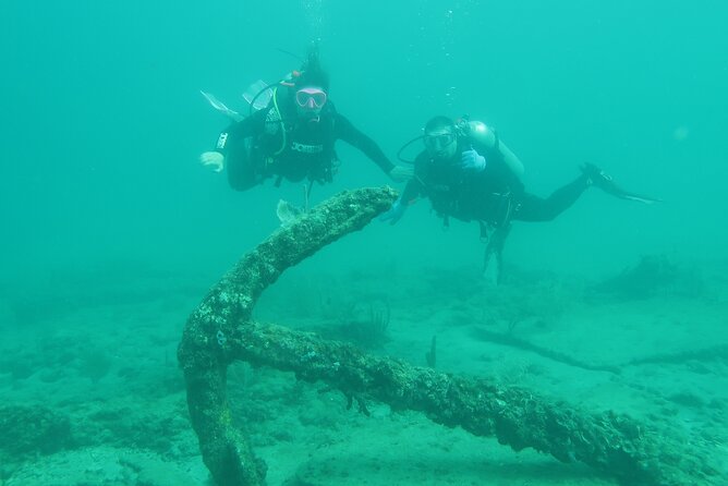 Private Scuba Diving Expert-Led Excursion Training with Tour - Who will enjoy this West Palm Beach outing