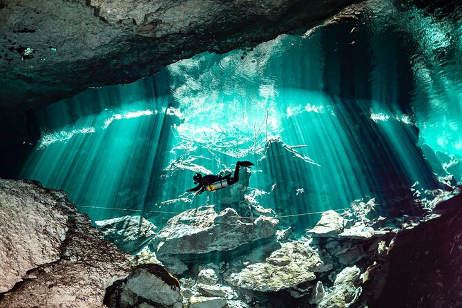 Private Scuba Diving in Cenote around Playa del Carmen - Key points to know before booking