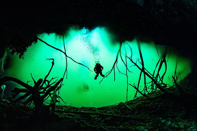 Private Scuba Diving in Cenote around Playa del Carmen - Starting at Dressel Divers in Playacar