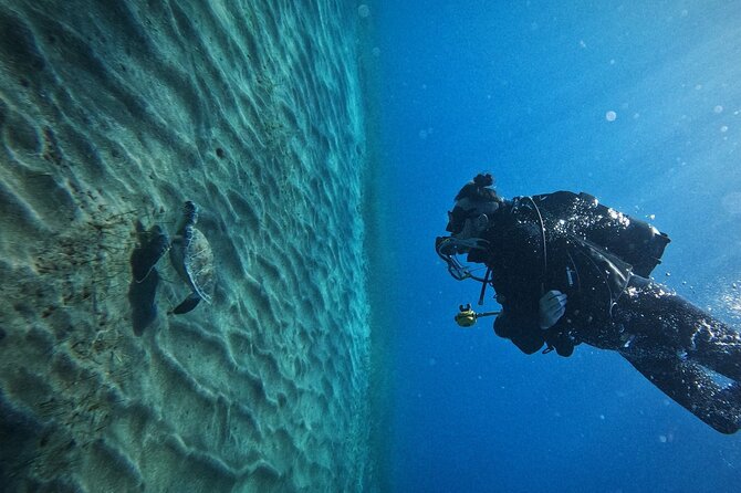 Private Scuba Diving in Tenerife – Certified Instructor & Photos - The 30 to 40-minute briefing