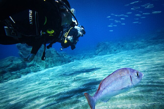Private Scuba Diving in Tenerife – Certified Instructor & Photos - Photos that preserve the first underwater moments