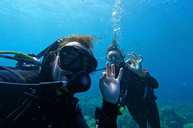 Private Scuba Diving in Tenerife – Certified Instructor & Photos - Timing, cancellation, and the flight rule