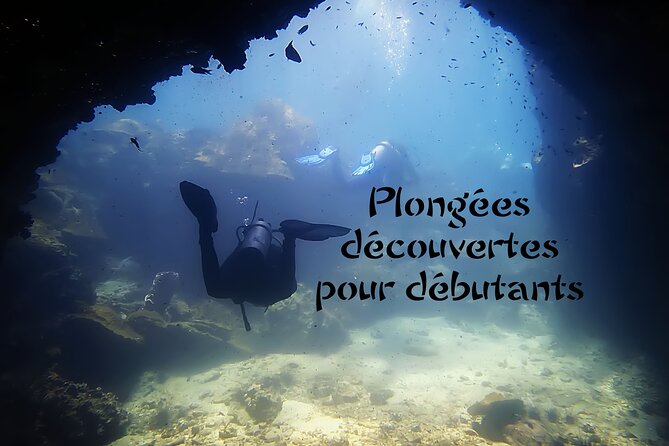 Private Scuba Diving Initiation with Licensed Guide - The optional sea session at 5 to 10 meters