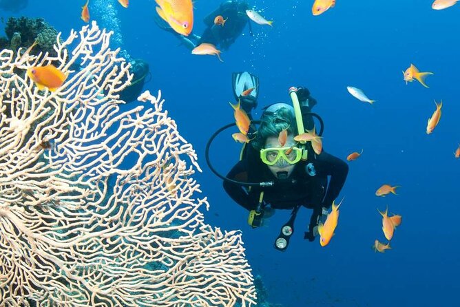 Private Scuba Diving Initiation with Licensed Guide - Who will enjoy this experience most