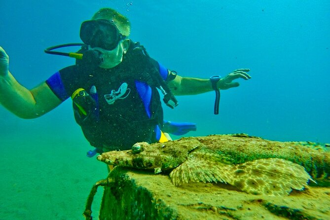 Private Scuba Diving Tour with Transportation and Guide - Eilat’s underwater world and Navy shipwrecks