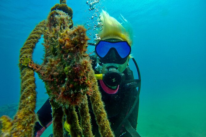 Private Scuba Diving Tour with Transportation and Guide - Why the private format matters