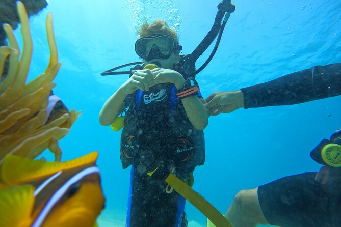 Private Scuba Diving Tour with Transportation and Guide - Equipment, media, and what the price covers