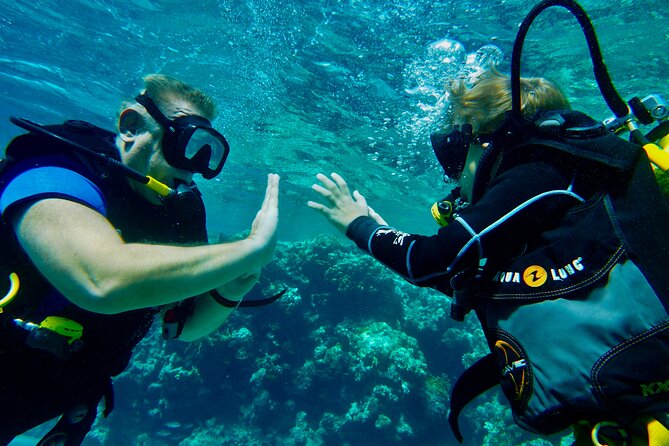 Private Scuba Diving Tour with Transportation and Guide - Who will get the most from this Eilat outing?