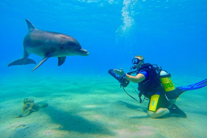 Private Scuba Diving Tour with Transportation and Guide - Booking time, cancellation, and daily planning