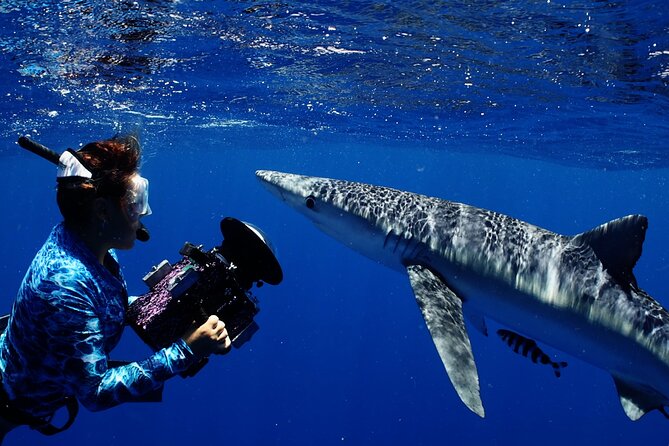 Private Shark Dive, Oahu, Hawaii (6 Guest) - Photos, memories, and the cost of extras