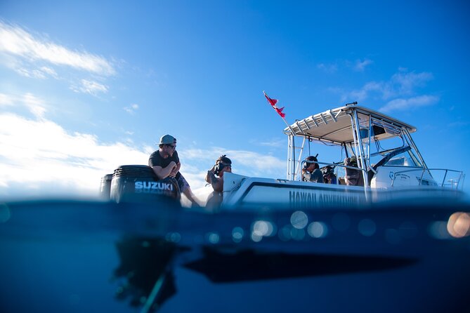 Private Shark Dive, Oahu, Hawaii (6 Guest) - Meeting in Haleiwa at 66-105 Haleiwa Road