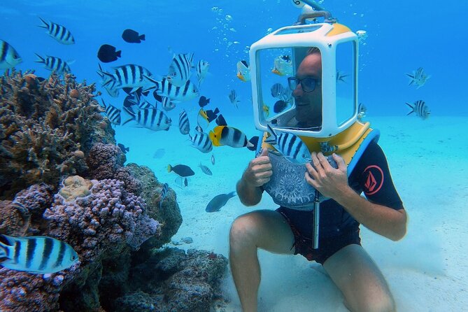 Private Tour: Aqua Safari Scuba Diving - Key points to know before booking