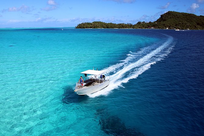 Private Tour: Aqua Safari Scuba Diving - Thirty minutes among coral, fish, and sandy-bottom life