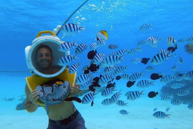 Private Tour: Aqua Safari Scuba Diving - What to pack, and what the tour supplies