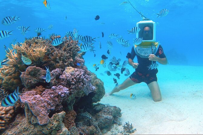Private Tour: Aqua Safari Scuba Diving - Is $765.22 good value for two people?