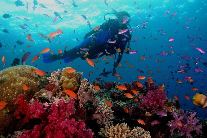 Professional 2 Stops Scuba Diving Full Day Boat Trip - Hurghada - What the $24 price really includes