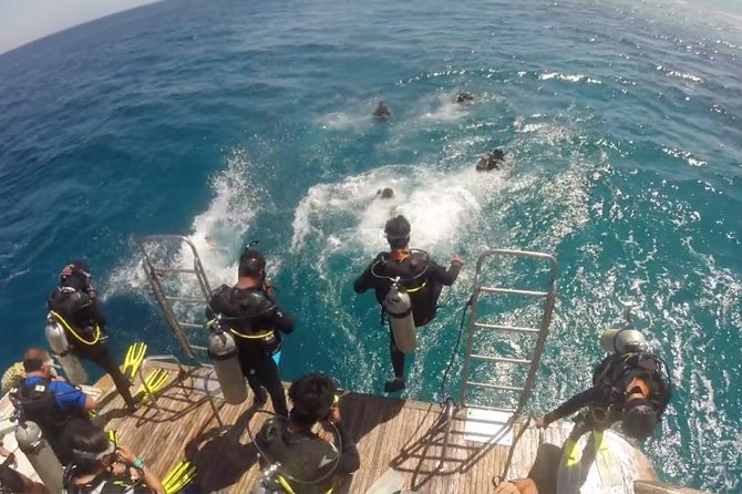 Professional 2 Stops Scuba Diving Full Day Boat Trip - Hurghada - Who will enjoy this Hurghada boat day?