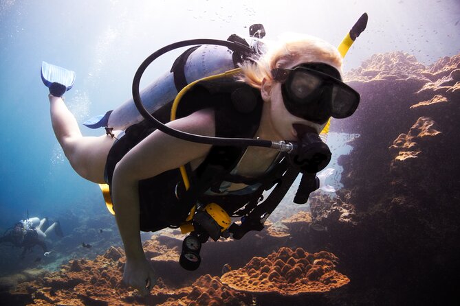 Professional Diver Two Stops Dives & Lunch, transfer–Hurghada - Quick points before you book