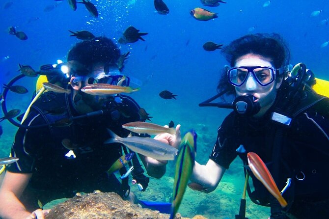 Professional Diver Two Stops Dives & Lunch, transfer–Hurghada - Leaving Hurghada at 8:00 am