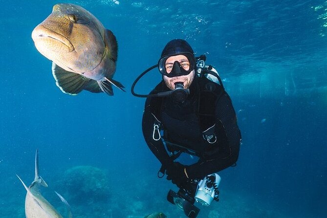 Professional Diver Two Stops Dives & Lunch, transfer–Hurghada - Between the stops, the boat becomes your base