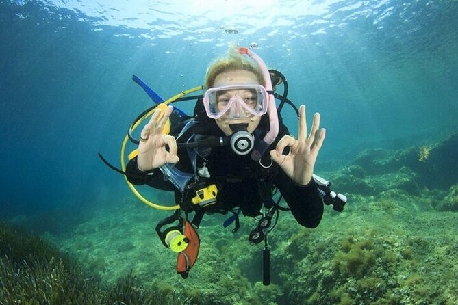 Professional Diver Two Stops Dives & Lunch, transfer–Hurghada - Snorkeling gives non-divers another way to enjoy the day