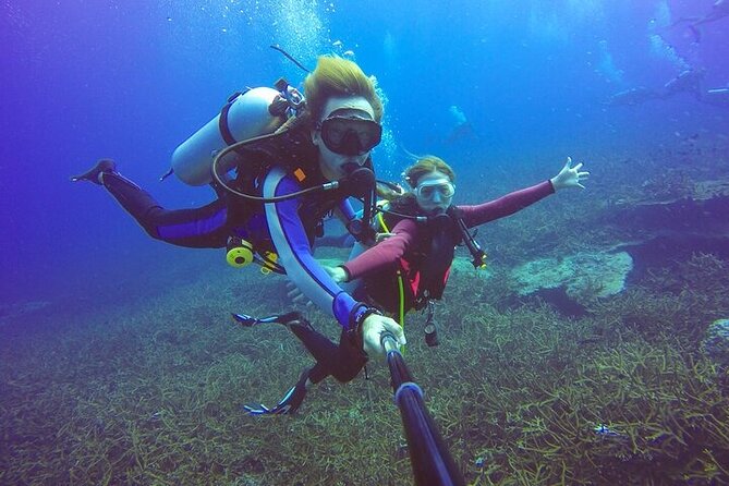 Professional Diver Two Stops Dives & Lunch, transfer–Hurghada - How the $5 price really works