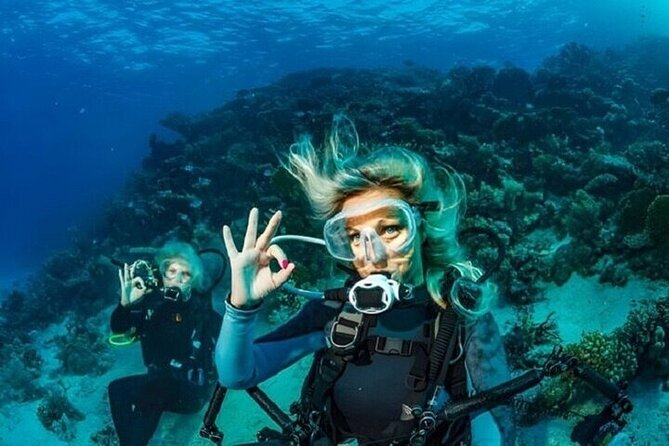 Professional Diver Two Stops Dives & Lunch, transfer–Hurghada - What the strongest praise tells you