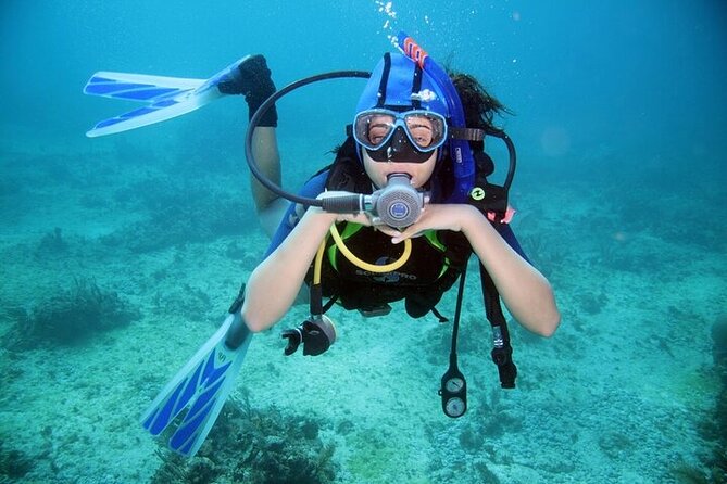 Professional Diver Two Stops Dives & Lunch, transfer–Hurghada - Who will enjoy this Hurghada outing most