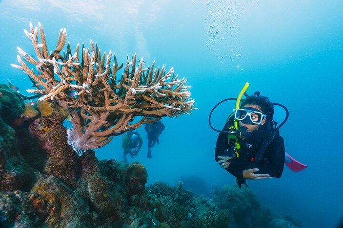 Professional Diver Two Stops Dives & Lunch, transfer–Hurghada - Getting ready for your first underwater session