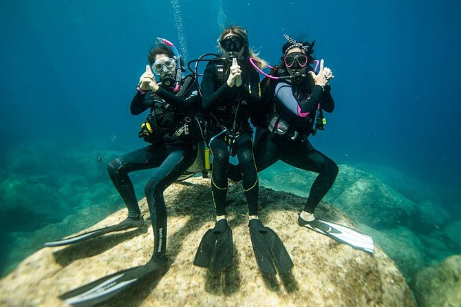 Professional Scuba Diving Boat Trip With Lunch and Transfer – Hurghada - From hotel pickup to the Hurghada harbor